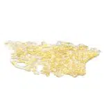 Shatter - Mangorita - Indica