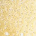Shatter - Mangorita - Indica - Image 2