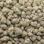 Grey Goose Craft Popcorn - Indica