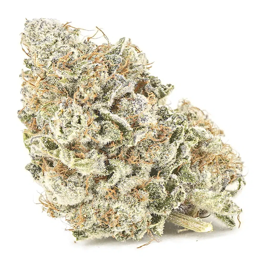 buy-weed-online-dispensary-jedi-kush-craft-nug Jedi Kush Craft - Indica - Image 1