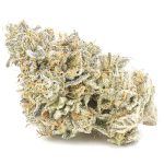 Jungle Cake AAAA - Hybrid