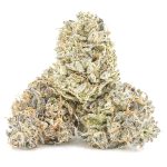 Jungle Cake AAAA - Hybrid - Image 2