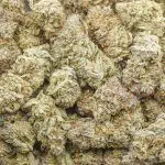 Tahoe OG Craft - Indica - Image 3